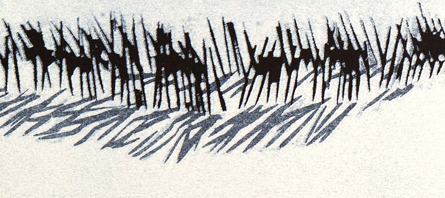 Ausschnitt aus dem Holzschnitt &raquo;Sandfangzaun&laquo; von Anastasiya Nesterova